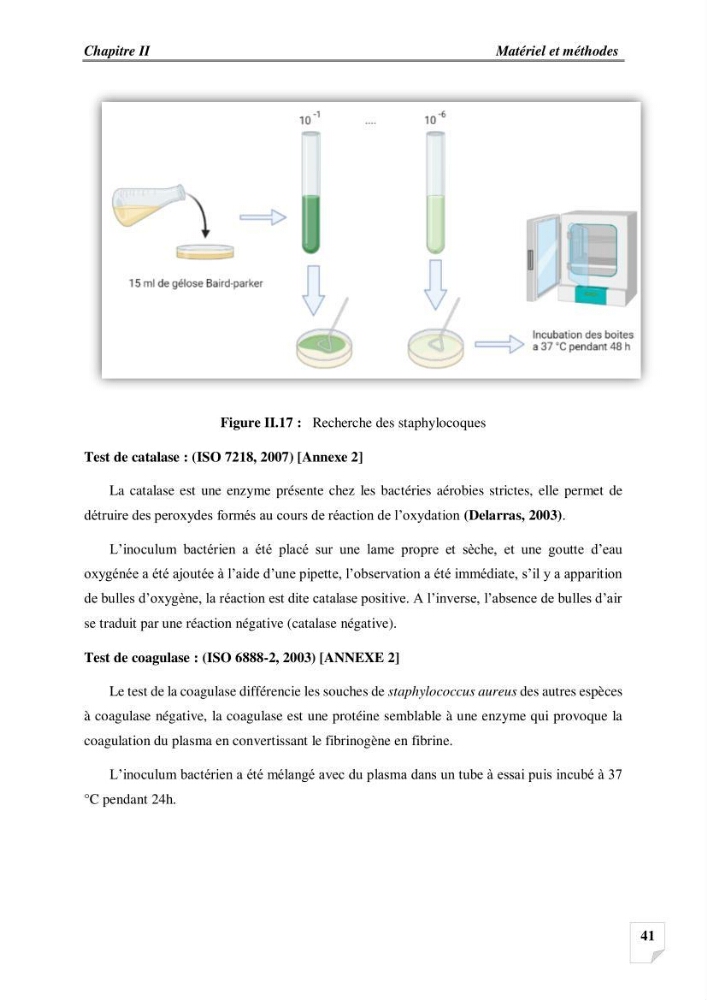 Production, analyse et valorisation de microalgues (Spiruline)