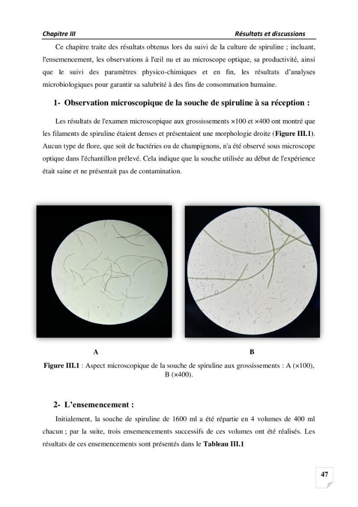 Production, analyse et valorisation de microalgues (Spiruline)