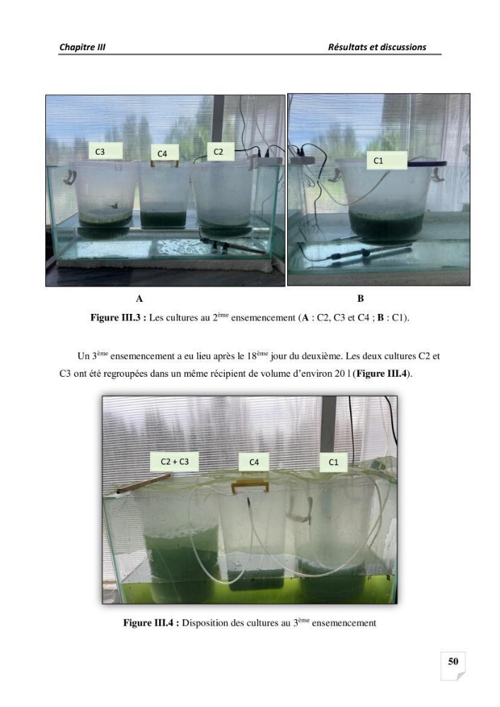 Production, analyse et valorisation de microalgues (Spiruline)