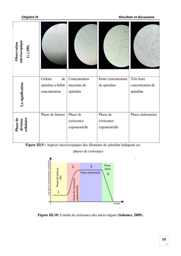 Production, analyse et valorisation de microalgues (Spiruline)