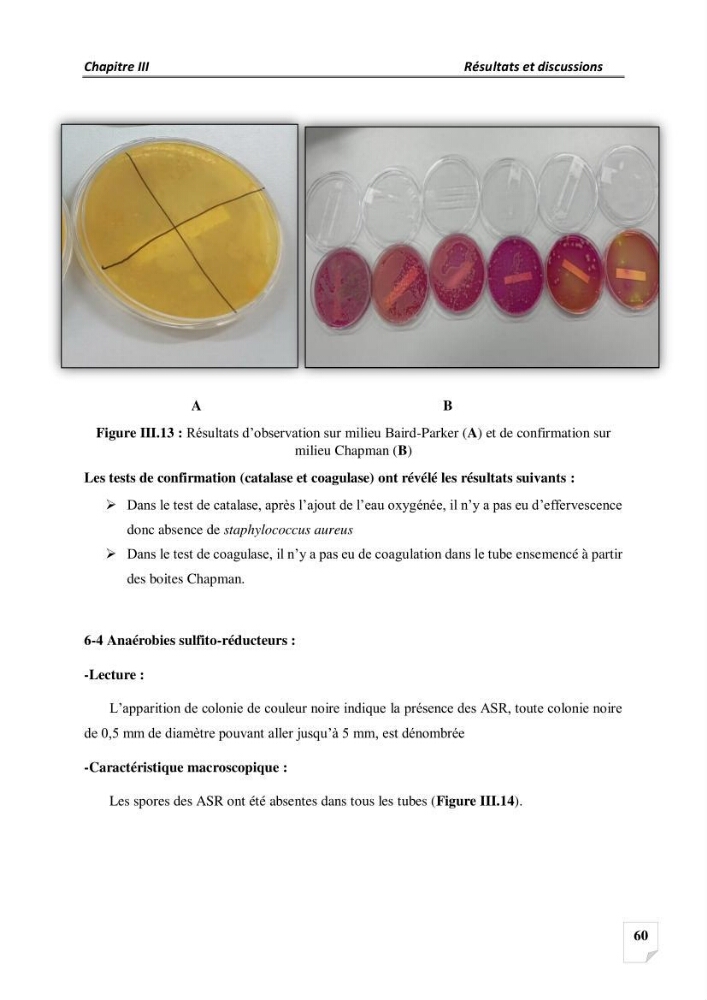 Production, analyse et valorisation de microalgues (Spiruline)