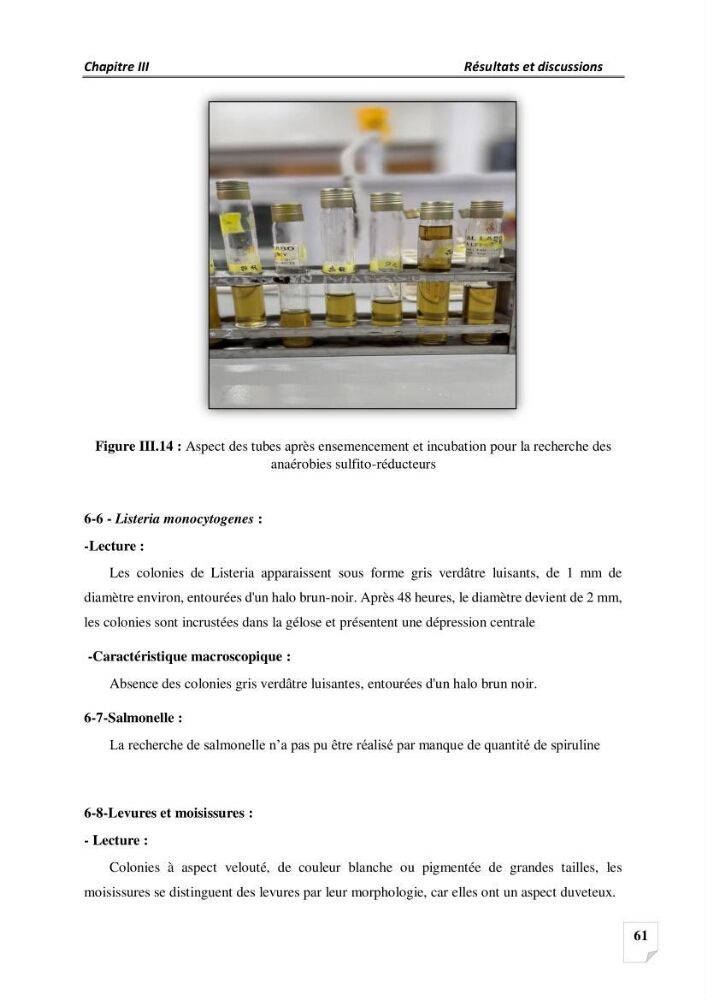 Production, analyse et valorisation de microalgues (Spiruline)