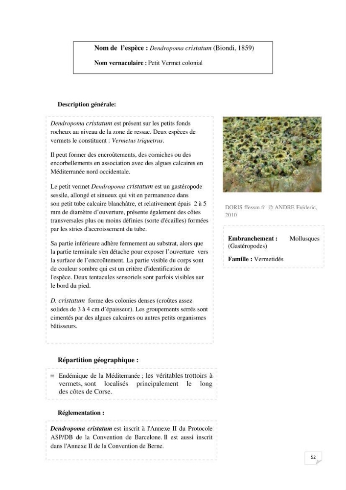 Inventaire de la faune et de la flore marine remarquable des espaces d\'intérêt écologique du secteur Est de la côte Algérienne