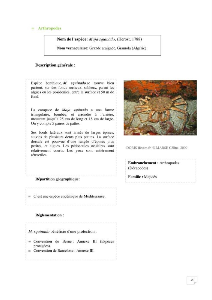 Inventaire de la faune et de la flore marine remarquable des espaces d\'intérêt écologique du secteur Est de la côte Algérienne