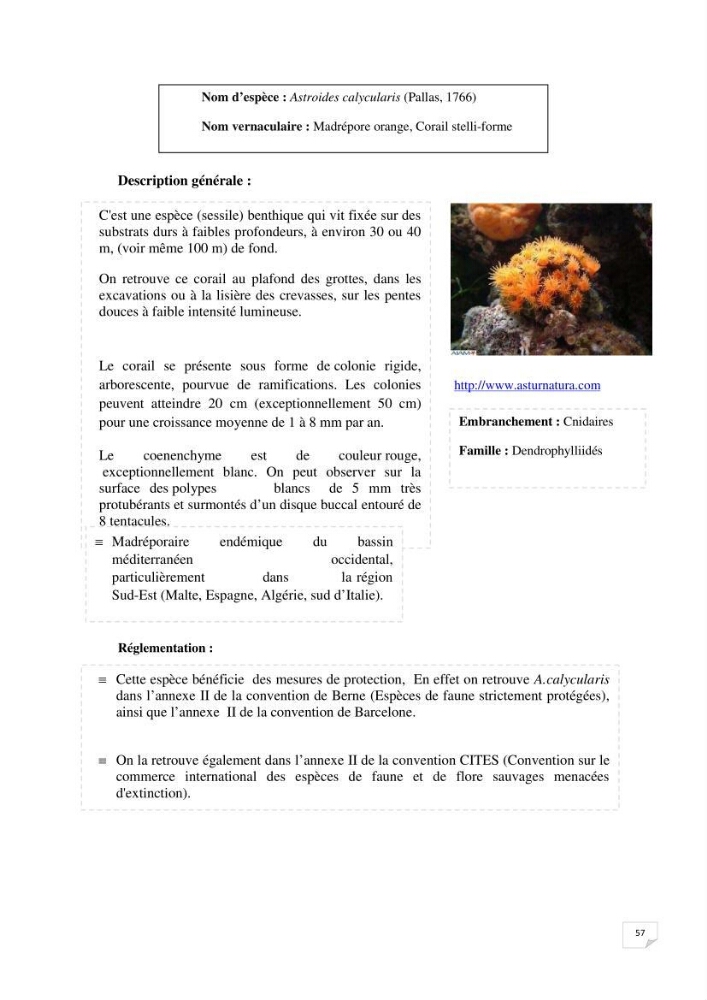 Inventaire de la faune et de la flore marine remarquable des espaces d\'intérêt écologique du secteur Est de la côte Algérienne