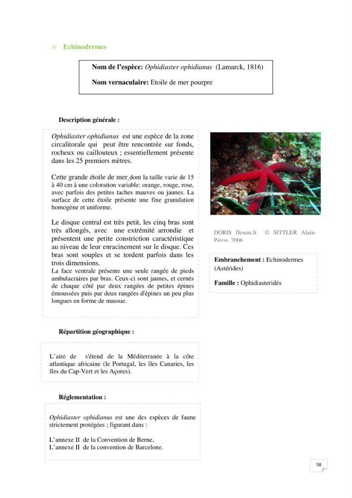 Inventaire de la faune et de la flore marine remarquable des espaces d\'intérêt écologique du secteur Est de la côte Algérienne
