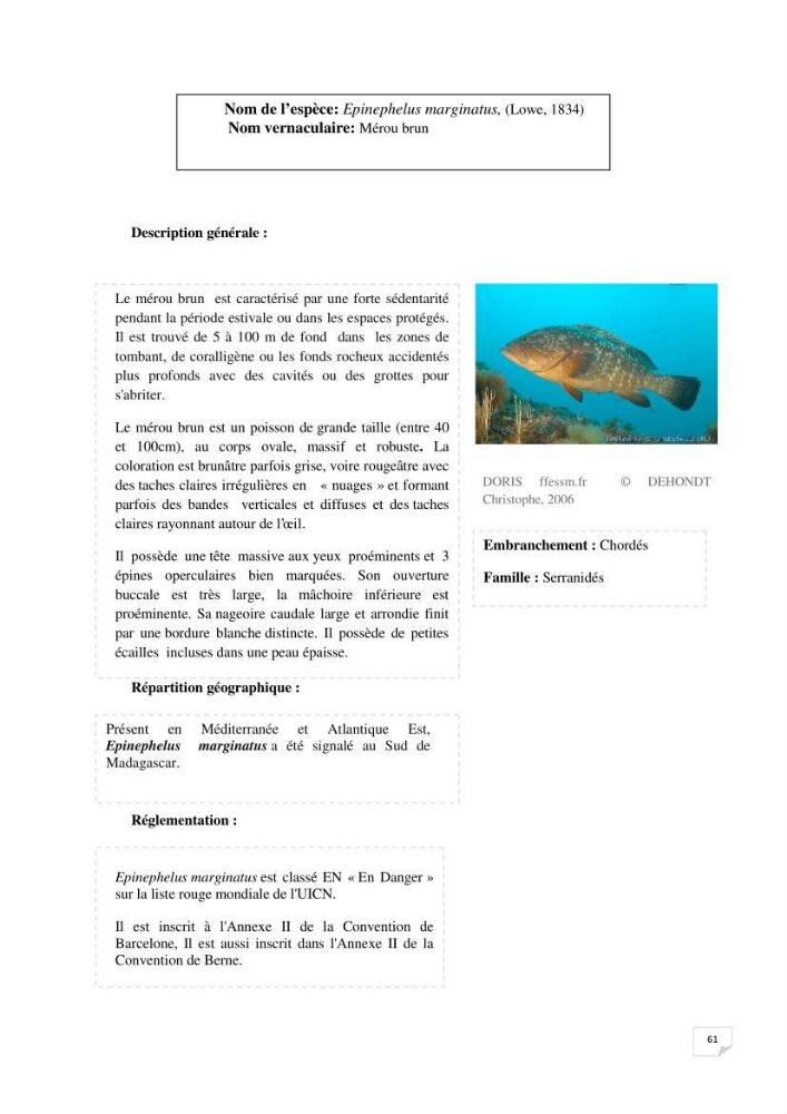 Inventaire de la faune et de la flore marine remarquable des espaces d\'intérêt écologique du secteur Est de la côte Algérienne