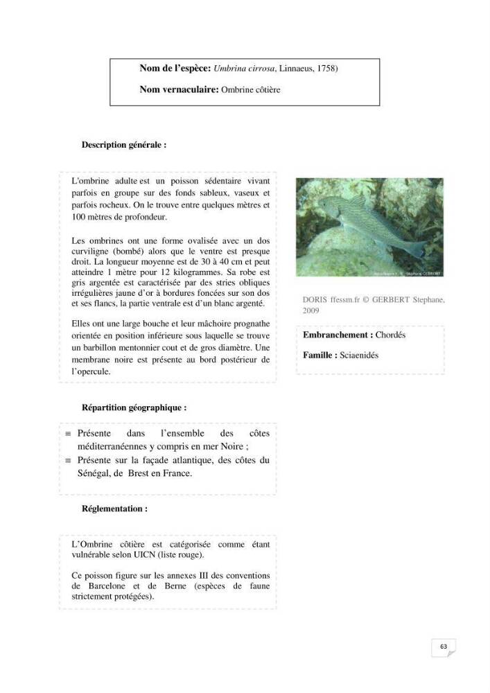 Inventaire de la faune et de la flore marine remarquable des espaces d\'intérêt écologique du secteur Est de la côte Algérienne