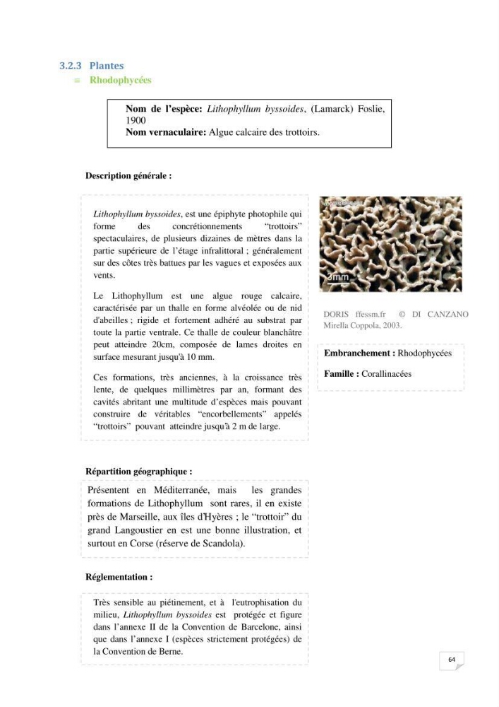 Inventaire de la faune et de la flore marine remarquable des espaces d\'intérêt écologique du secteur Est de la côte Algérienne