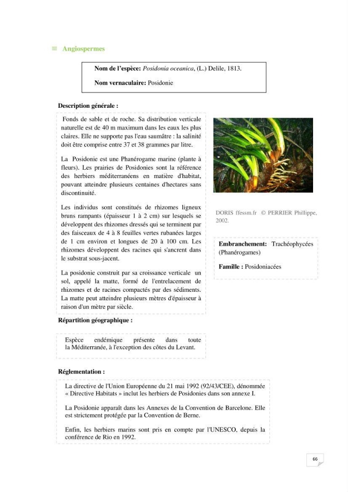 Inventaire de la faune et de la flore marine remarquable des espaces d\'intérêt écologique du secteur Est de la côte Algérienne