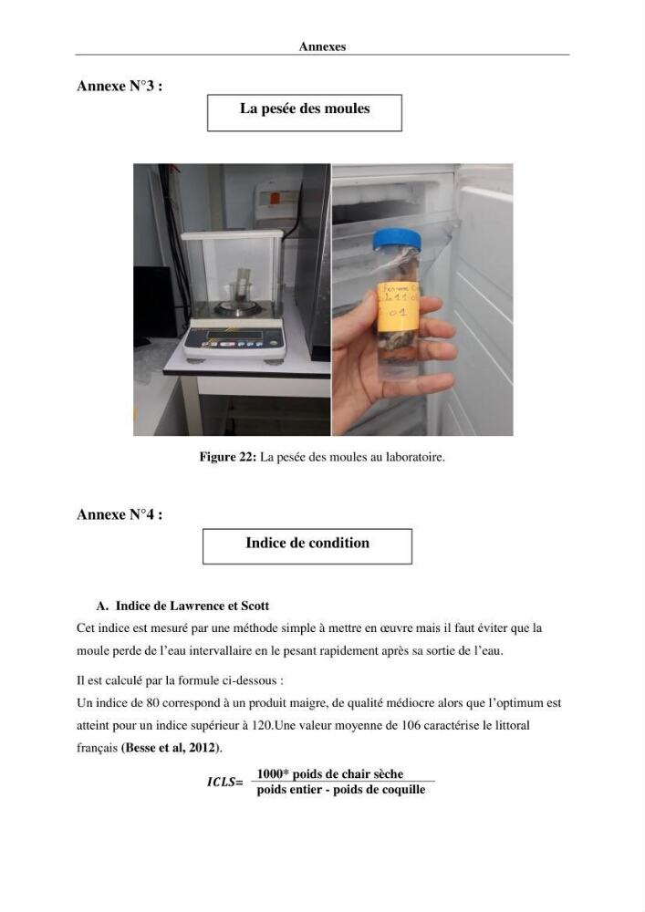 Les métaux traces dans les moules: Etude rétrospective et comparative dans les côtes centrales algériennes (baies de Zemmouri, d’Alger et de Bou-Ismail).