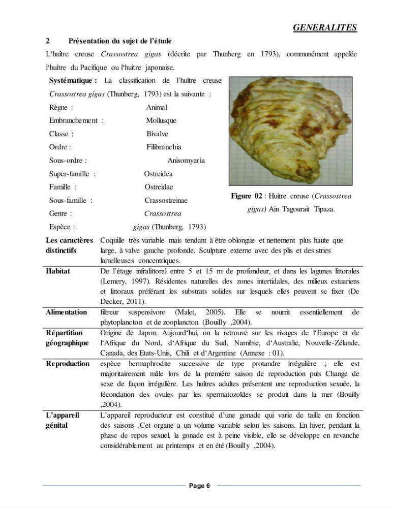 Etude de la croissance de l\'Huitre creuse Crassostrea Gigas (Thunberg, 1793) Ain Tagourait Tipaza
