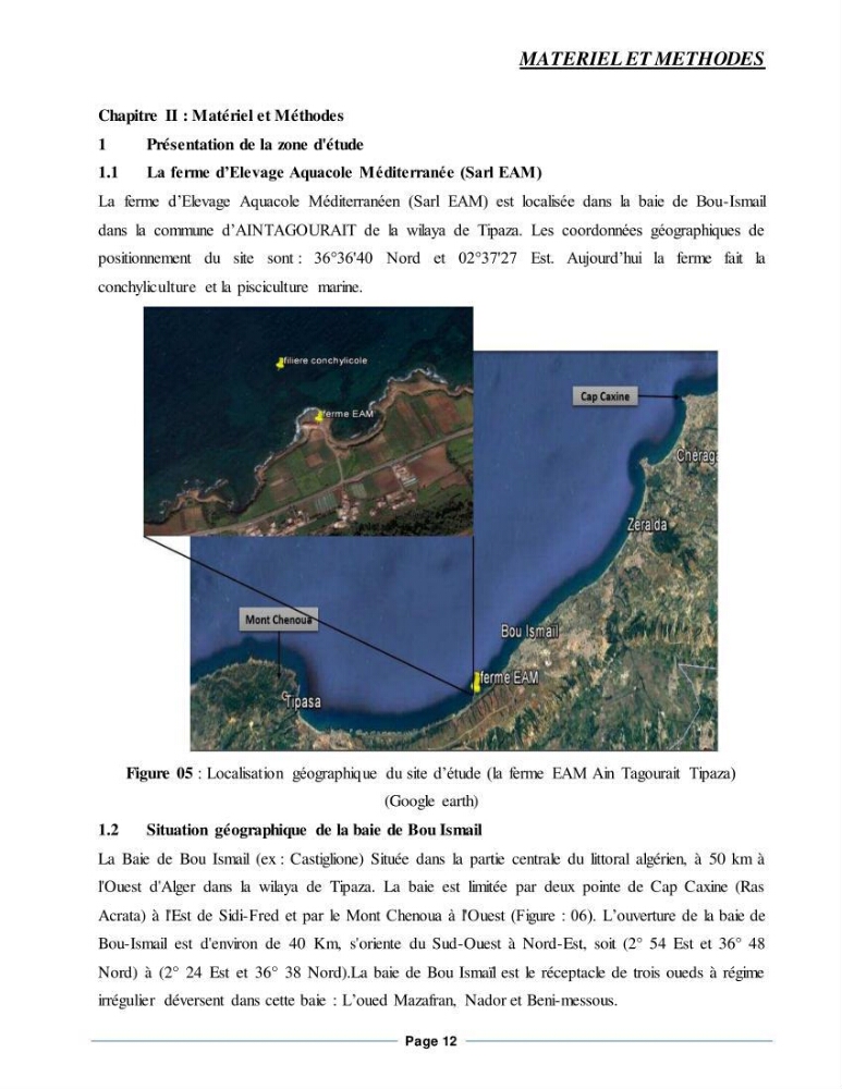 Etude de la croissance de l\'Huitre creuse Crassostrea Gigas (Thunberg, 1793) Ain Tagourait Tipaza