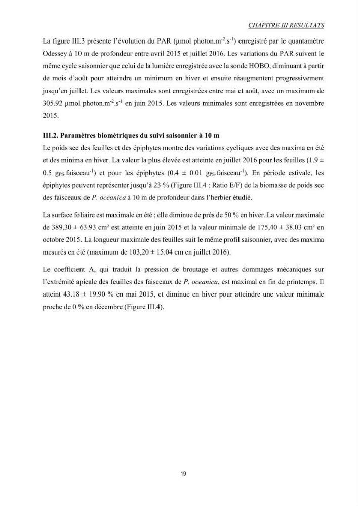 Etude échophysiologique de Posidonia oceanica (L.) Delile : mise en relation des contenus en sucres, la photosynthèse et la biométrie