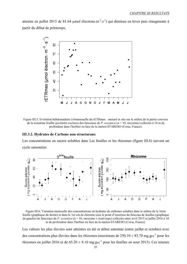 Etude échophysiologique de Posidonia oceanica (L.) Delile : mise en relation des contenus en sucres, la photosynthèse et la biométrie