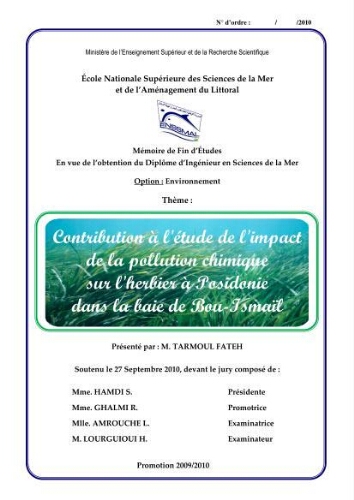 Contribution à l'étude de l'impact de la pollution chimique sur l'herbier à Posidonie dans la baie de Bou-Ismaîl Contribution à l'étude de l'impact de la pollution chimique sur l'herbier à Posidonie dans la baie de Bou-Ismaîl