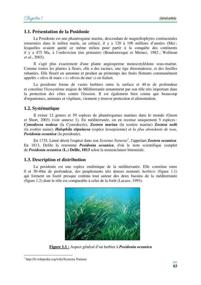 Contribution à l\'étude de l\'impact de la pollution chimique sur l\'herbier à Posidonie dans la baie de Bou-Ismaîl