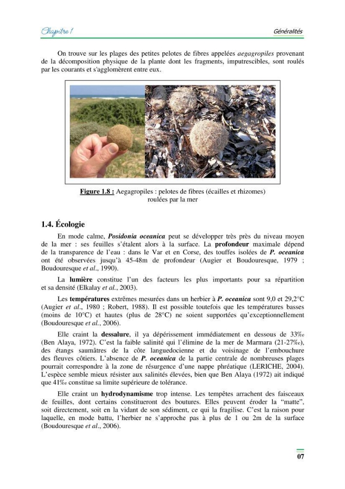 Contribution à l\'étude de l\'impact de la pollution chimique sur l\'herbier à Posidonie dans la baie de Bou-Ismaîl