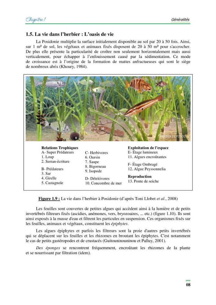 Contribution à l\'étude de l\'impact de la pollution chimique sur l\'herbier à Posidonie dans la baie de Bou-Ismaîl