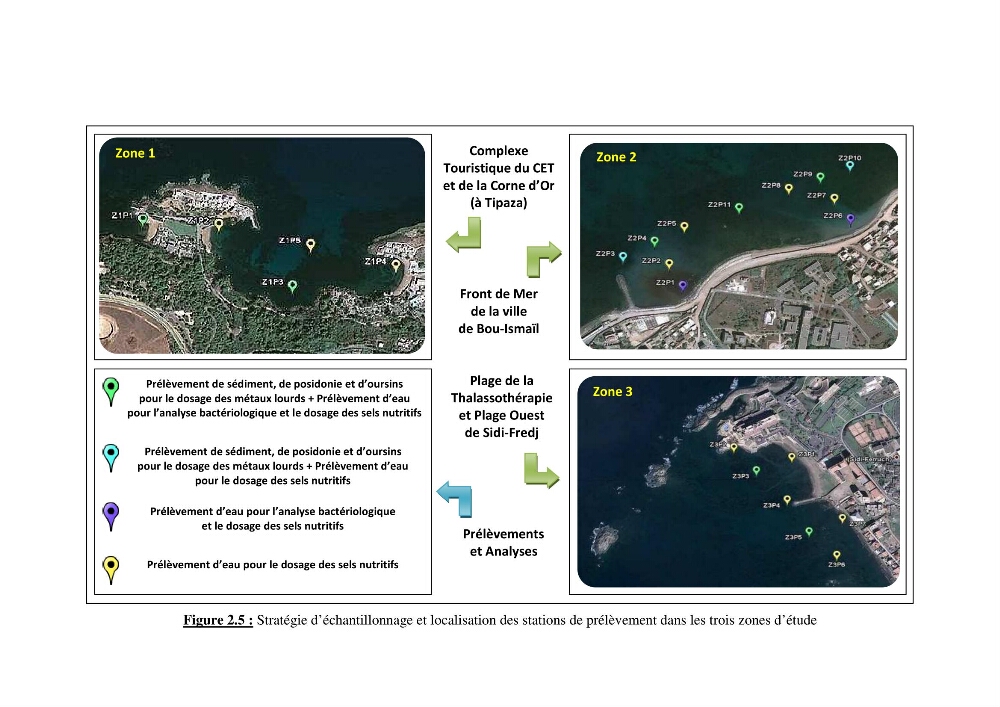 Contribution à l\'étude de l\'impact de la pollution chimique sur l\'herbier à Posidonie dans la baie de Bou-Ismaîl