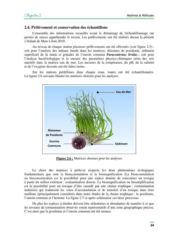 Contribution à l\'étude de l\'impact de la pollution chimique sur l\'herbier à Posidonie dans la baie de Bou-Ismaîl