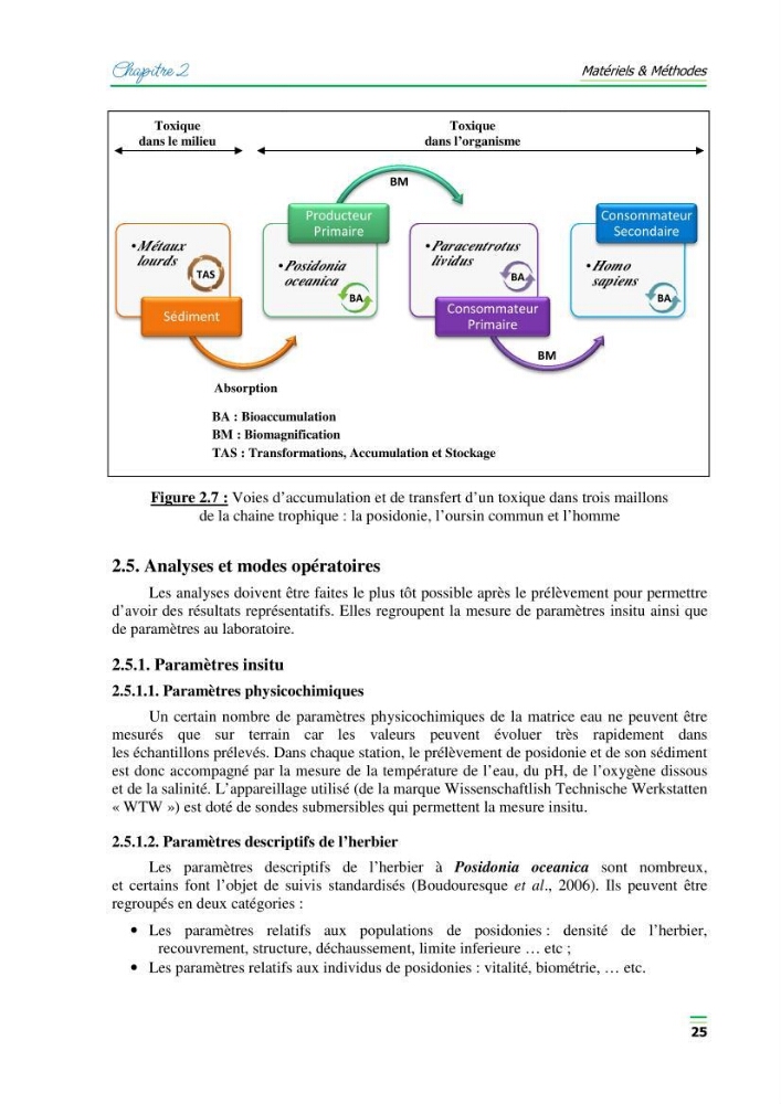 Contribution à l\'étude de l\'impact de la pollution chimique sur l\'herbier à Posidonie dans la baie de Bou-Ismaîl