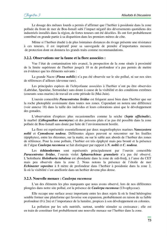 Contribution à l\'étude de l\'impact de la pollution chimique sur l\'herbier à Posidonie dans la baie de Bou-Ismaîl