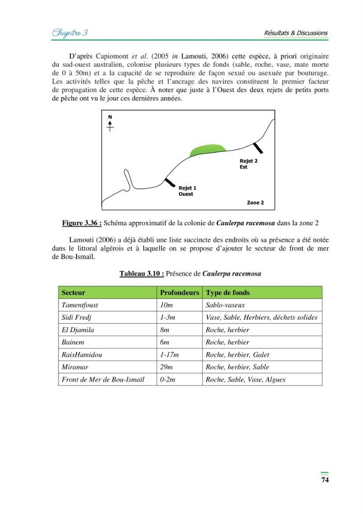 Contribution à l\'étude de l\'impact de la pollution chimique sur l\'herbier à Posidonie dans la baie de Bou-Ismaîl