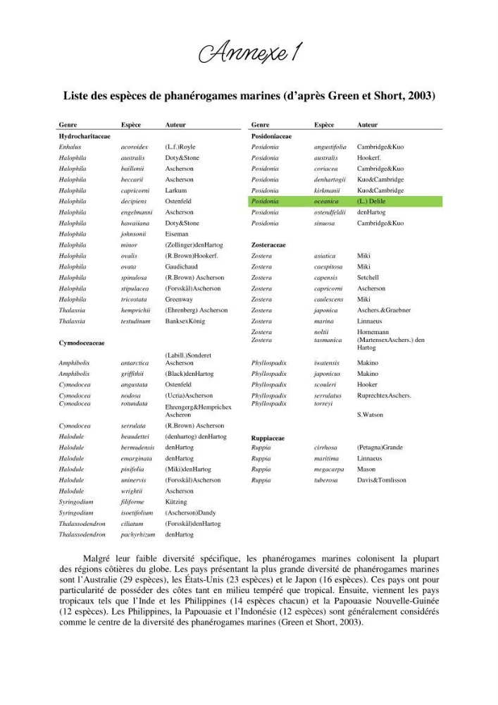 Contribution à l\'étude de l\'impact de la pollution chimique sur l\'herbier à Posidonie dans la baie de Bou-Ismaîl