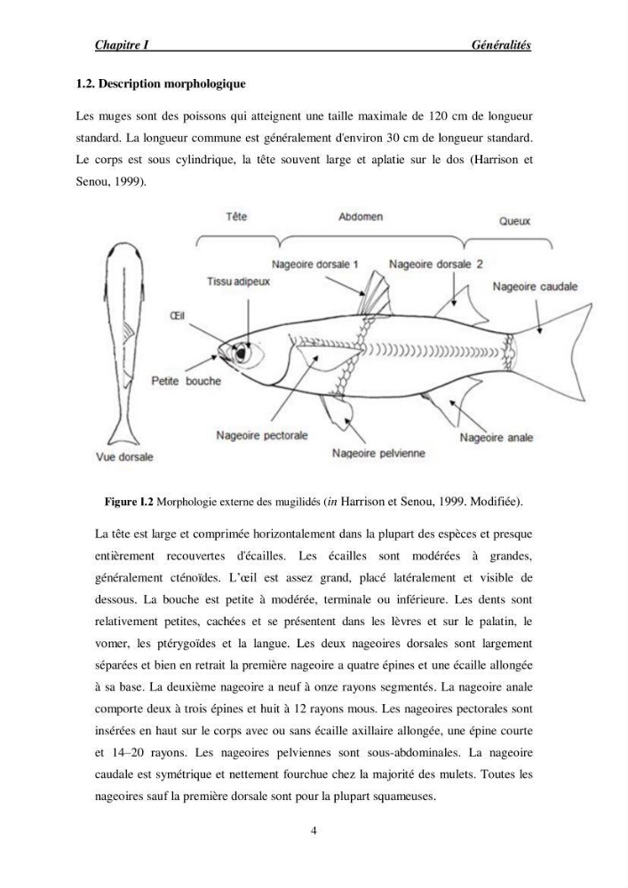 Acclimatation aux faibles salinités des alevins de mulet Chelon labrosus (Risso, 1826).: