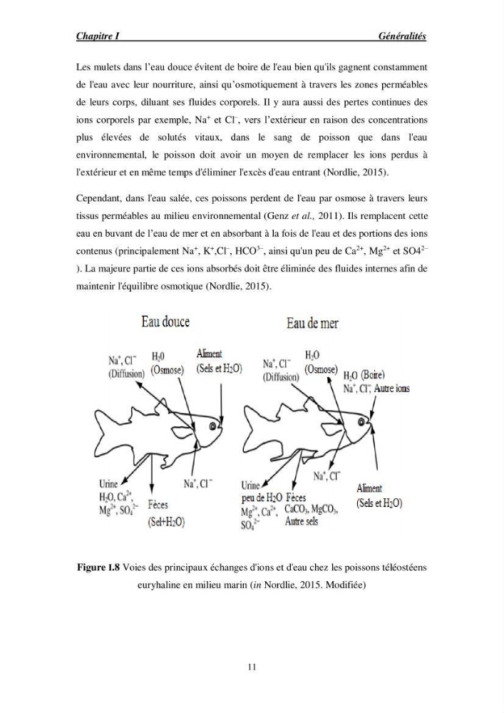 Acclimatation aux faibles salinités des alevins de mulet Chelon labrosus (Risso, 1826).: