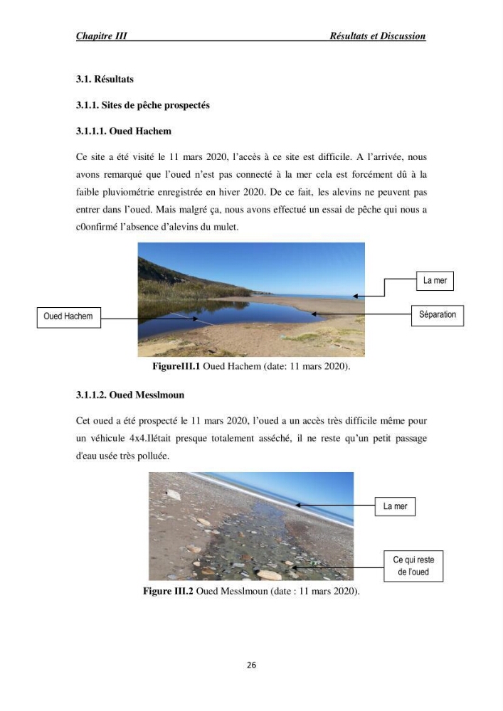 Acclimatation aux faibles salinités des alevins de mulet Chelon labrosus (Risso, 1826).: