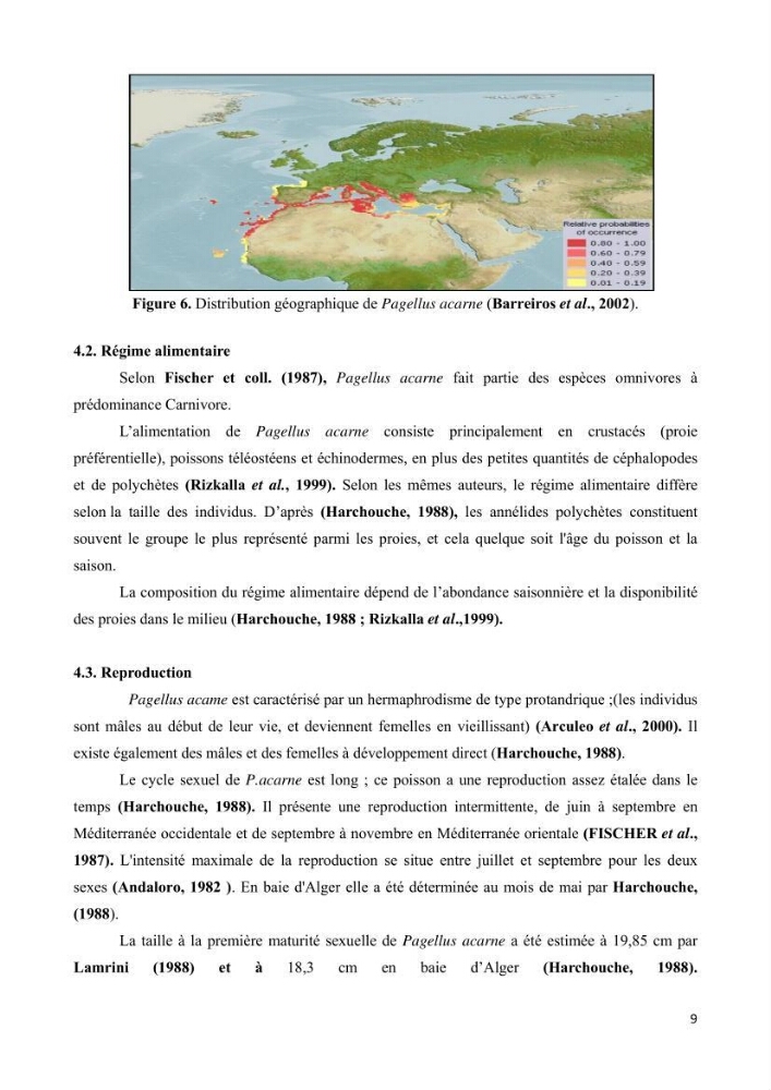 Contribution à l\'étude de l\'exploitation de pagellus acarne (Risso, 1826) de la baie de Bou- Ismail: