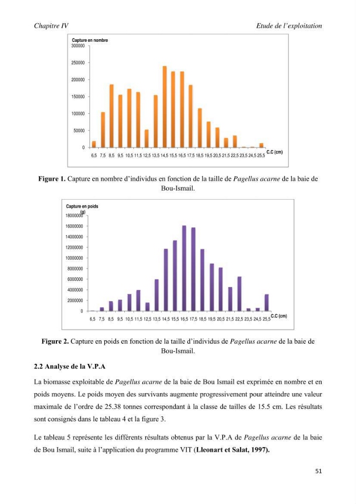 Contribution à l\'étude de l\'exploitation de pagellus acarne (Risso, 1826) de la baie de Bou- Ismail: