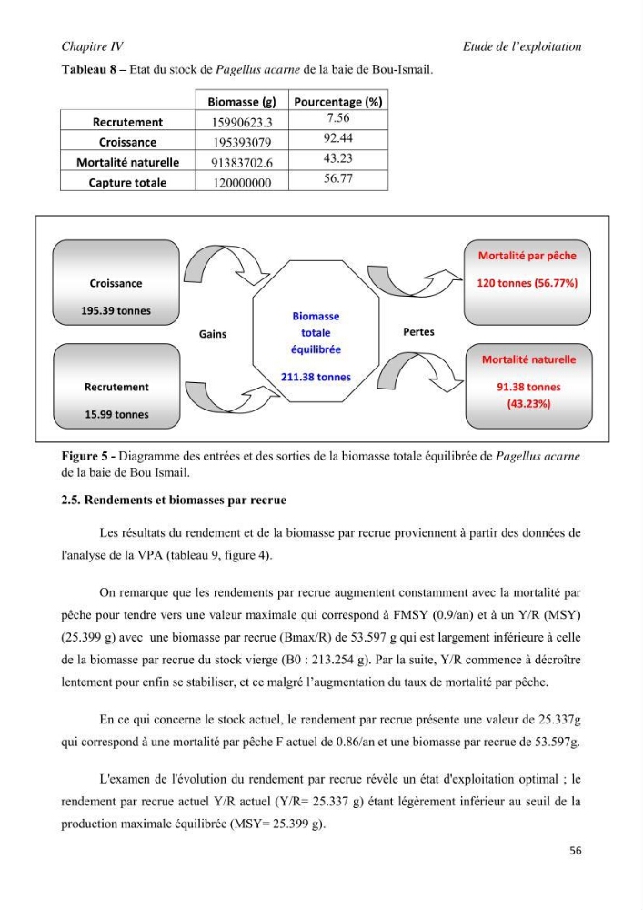 Contribution à l\'étude de l\'exploitation de pagellus acarne (Risso, 1826) de la baie de Bou- Ismail: