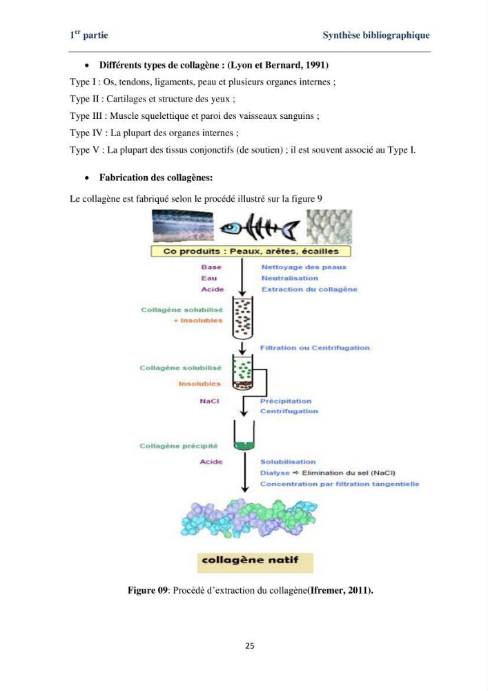 Fabrication des conserves alimentaires à partir du poisson chat africain Clarias gariepinus (Bruchell, 1822) et contribution à la valorisation des coproduits générés