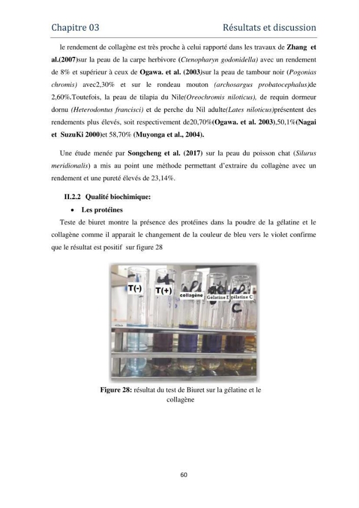 Fabrication des conserves alimentaires à partir du poisson chat africain Clarias gariepinus (Bruchell, 1822) et contribution à la valorisation des coproduits générés