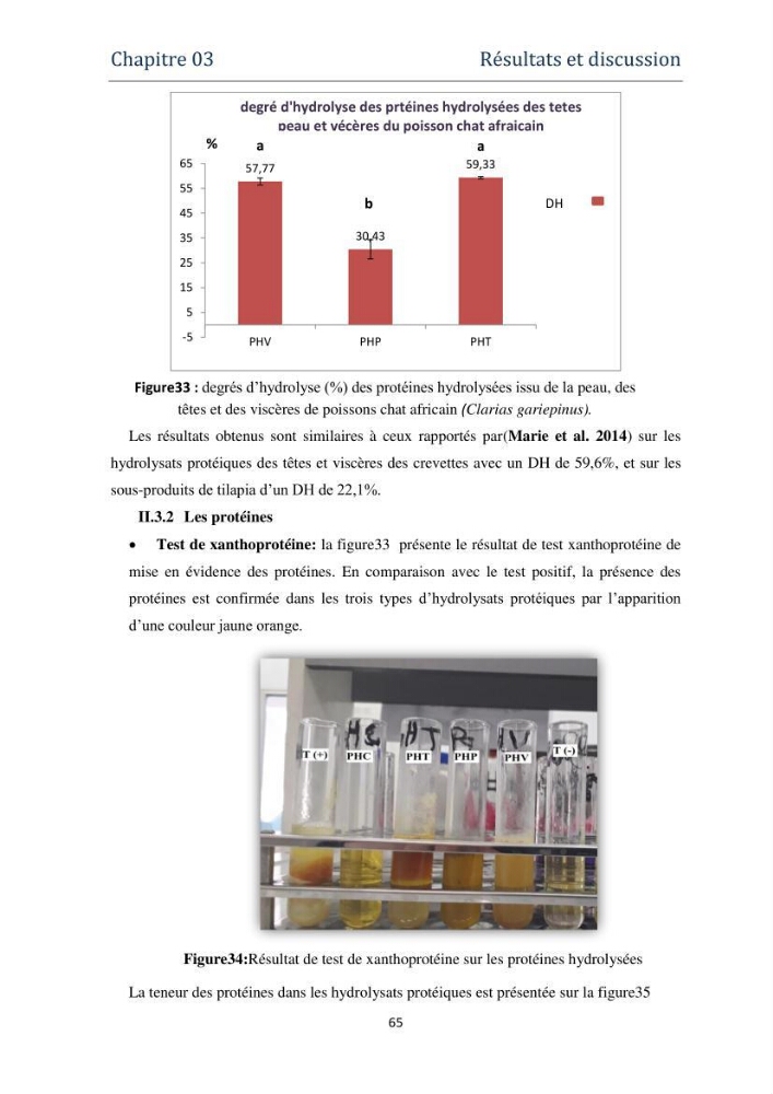 Fabrication des conserves alimentaires à partir du poisson chat africain Clarias gariepinus (Bruchell, 1822) et contribution à la valorisation des coproduits générés
