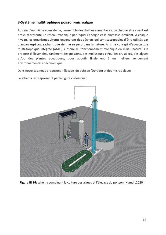 Etude technico-économique et environnementale d’un projet d’une ferme aquacole multi-trophique à terre