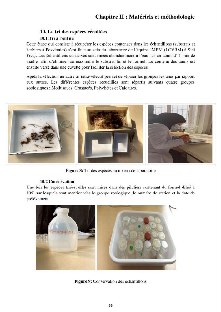 Inventaire des espèces marines du parc national de Gouraya