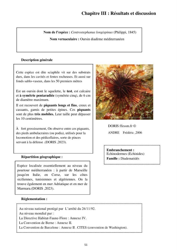 Inventaire des espèces marines du parc national de Gouraya