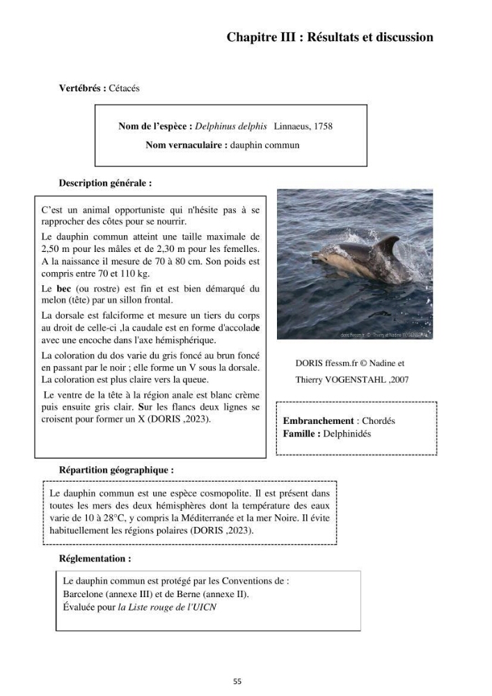 Inventaire des espèces marines du parc national de Gouraya