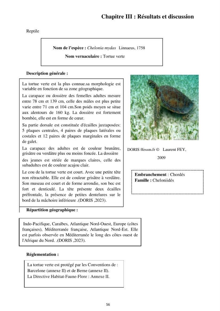 Inventaire des espèces marines du parc national de Gouraya