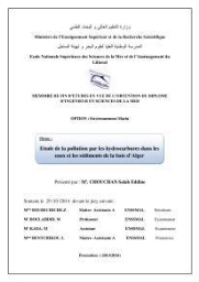 Etude de la pollution par les hydrocarbures dans les eaux et les sédiments de la baie d'Alger