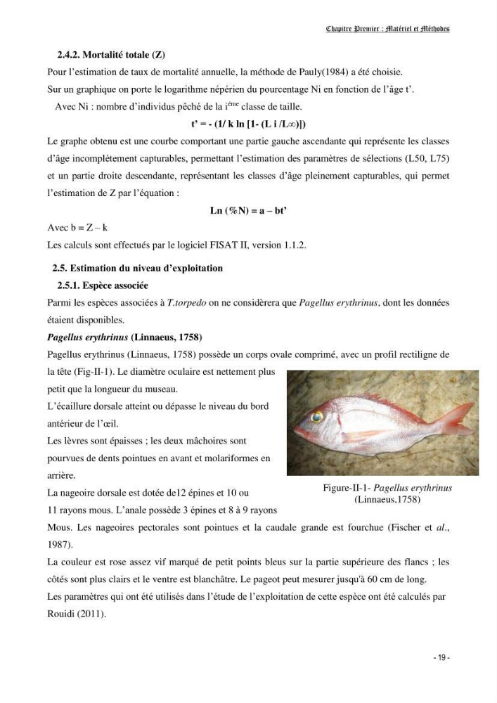 Contribution à l\'écologie et à l\'exploitation de Torpedo torpedo ( Elasmobranches, Torpedinidae) dans la région Est de la côte algérienne
