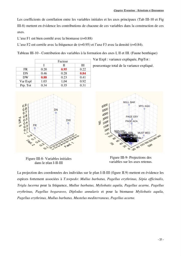 Contribution à l\'écologie et à l\'exploitation de Torpedo torpedo ( Elasmobranches, Torpedinidae) dans la région Est de la côte algérienne