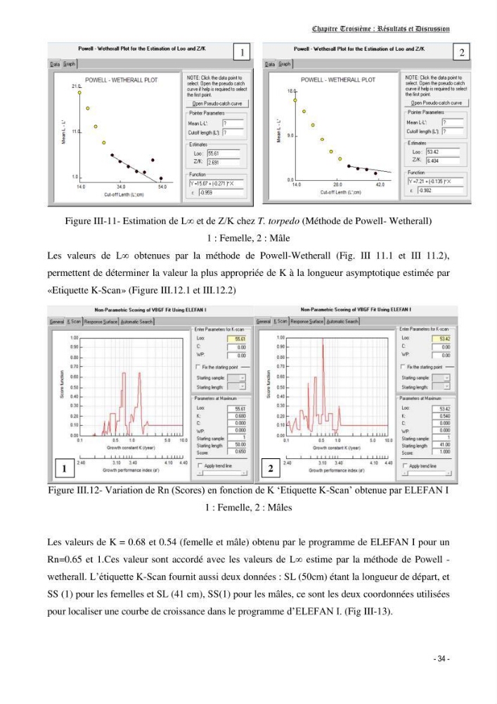 Contribution à l\'écologie et à l\'exploitation de Torpedo torpedo ( Elasmobranches, Torpedinidae) dans la région Est de la côte algérienne