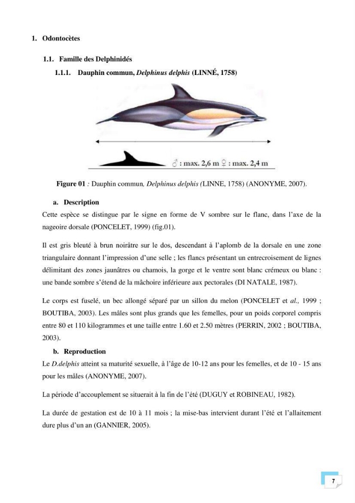 Bilan des échouages de cetacés dans le centre Algérien: