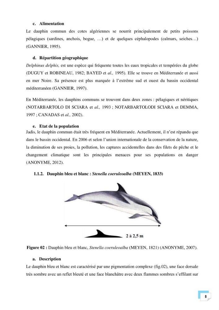 Bilan des échouages de cetacés dans le centre Algérien: