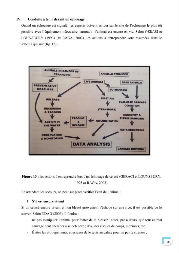Bilan des échouages de cetacés dans le centre Algérien: